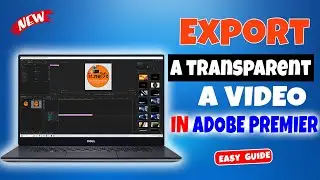 How to export a video with a transparent background in Adobe Premiere Pro 2024