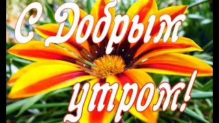 С Добрым утром!С новым днём!Доброе Утро! Музыкальная открытка с Добрым Утром!Музыка Сергея Чекалина.