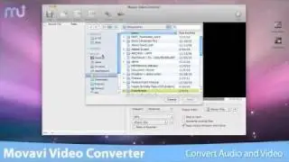 MacUpdate - Movavi Video Converter for Mac