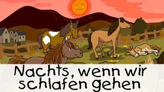 😴 Nachts, wenn wir schlafen gehen || Geschichten für Kinder