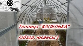 ТЕПЛИЦА КАПЕЛЬКА