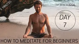 Mindfulness Meditation for Stress and Anxiety - The 7 Day Meditation Challenge | Tim Senesi Yoga