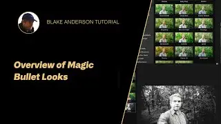 Overview of Magic Bullet Looks - Tips & Workflow