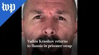 Vadim Krasikov returns to Russia in prisoner swap