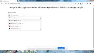 Angular 9 input phone number validation working example