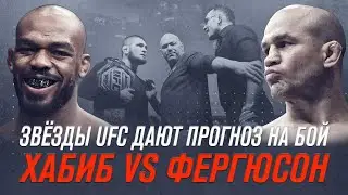 Прогнозы на бой Хабиб vs Фергюсон от звезд UFC