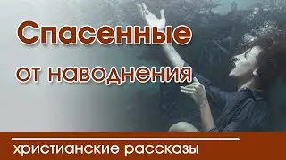 🔴 Интересный рассказ  для детей Спасенные от наводнения |  Детские христианские рассказы