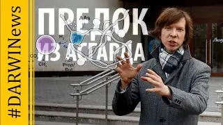 Найдена архея, сожравшая бактерию! Ярослав Попов. 