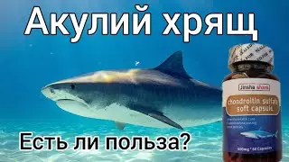 🦈Зачем пить акулий хрящ?🧬