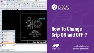 How to change grip on and off | IGiS CAD