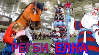 Наша новогодняя РЕГБИ ЕЛКА 🎄 