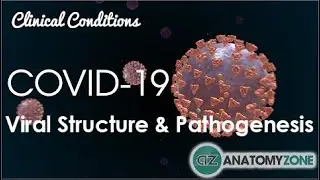 Coronavirus COVID-19 | Viral Structure & Pathogenesis