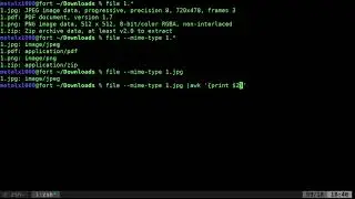 Finding File Mime Types Linux Shell Programming BASH Tutorial