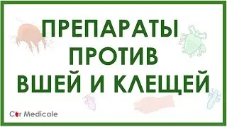 Препараты от педикулеза - против вшей и клещей