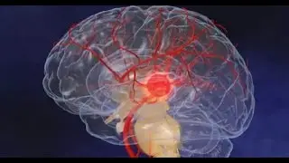 Stroke Animation