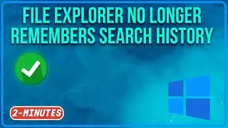 File Explorer no longer remembers search history Windows 11