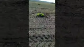 хотел сеять пшеницу но передумали