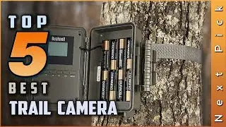 Top 5 Best Trail Cameras Review in 2024