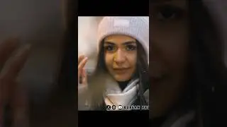 20 ноября 2023 г.