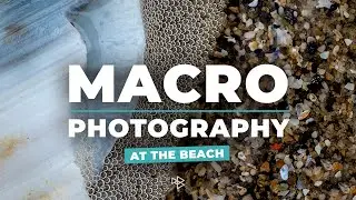 Beach Macro Photography