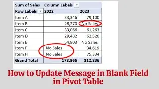 How to Update Message in Blank Field in Pivot Table Report