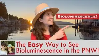 The Easy Way to See Bioluminescence in the Pacific Northwest