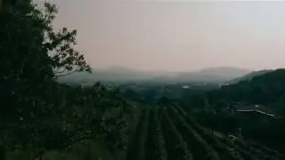 Da Vittorio - La Vigna