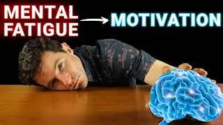 The Neuroscience of Exhaustion: How to Stay Motivated