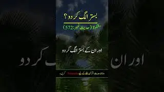 Hadees Sharif Bistar Alag Kar do #shorts #youtubeshorts #hadees #prayer #islamicstatus #viral usama