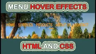 Menu Cool Hover Effect Using HTML & CSS || Q Tech Info