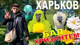 БАЛ ХРИЗАНТЕМ 2021