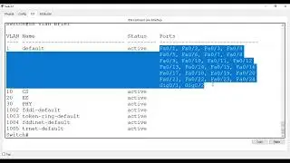 how to configure vlans on cisco switch| CCNA Labs | Urdu |Hindi