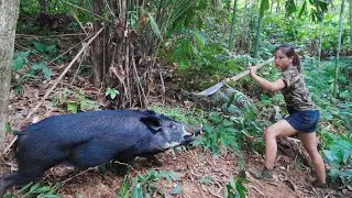 Wild boar has been caught in a trap, skills for setting wild boar traps, survival alone