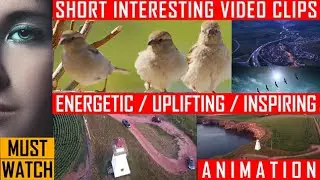 Short Interesting Video Clips | Energetic, Uplifting & Inspiring | Animation