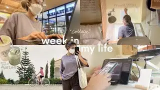 🍵 College Week in My Life: cafe study vlog, making my own matcha, biking, and plates (psid)