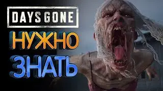 Days Gone Что нужно знать перед покупкой (40 фактов)