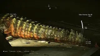 The Division 2 - Alligator in the Sewers Easter Egg