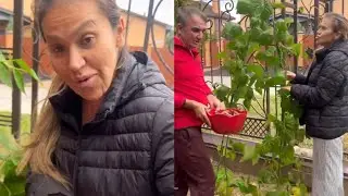 Rəksanə İsmayılova Rusiyadakı bağından video paylaşdı
