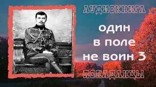 АУДИОКНИГА ПОПАДАНЦЫ: ОДИН  В ПОЛЕ  НЕ ВОИН 3