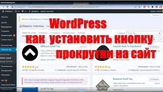 Как установить кнопку прокрутки на сайт WordPress. Плагин Scroll Top