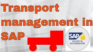 SAP Transport Setup Real time Process