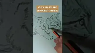 how to draw a cat with office / school pencil #shorts