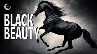 Black Beauty | Dark Screen Audiobook for Sleep