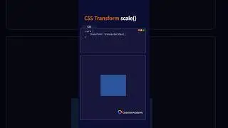 CSS transform translate HTML css tutorial