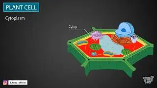 The plant cell and its parts - Natural Science | Cell Structure | Plant Cell Structure | Science