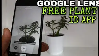 GOOGLE LENS - A FREE PLANT Identify App that Most Mobile Phones will already have. 🌱🌷