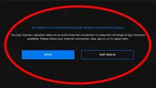 How To Fix The Epic Games Launcher || You Seem To Be Experiencing Some Network Connectivity Issues