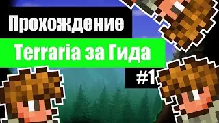 Прохождение Террарии за Гида #1. Terraria за гида прохождение. Начало прохождения.