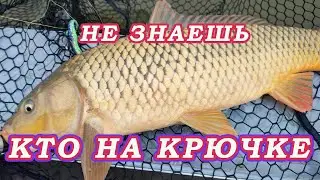 КАТАКЛИЗМ НА РЕКЕ! Пошёл ЛЁД! Вся Рыба забыла ПРАВИЛА Поклёвок!!!