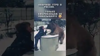 Обычное утро в России 😄 только американцам не показывайте 